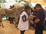 0902PCup_529B