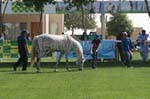 0902PCup_531