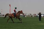 0902PCup_533