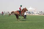 0902PCup_534