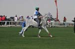 0902PCup_535
