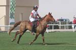 0902PCup_537