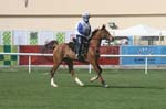 0902PCup_538