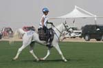 0902PCup_540
