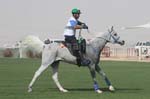 0902PCup_541