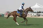 0902PCup_543