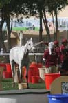 0902PCup_545