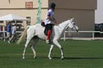 0902PCup_548