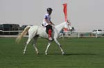 0902PCup_549