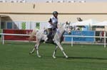 0902PCup_551