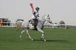0902PCup_552