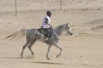 0902PCup_554