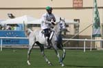 0902PCup_555