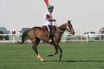 0902PCup_556