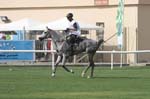 0902PCup_557