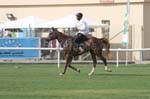 0902PCup_558