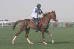 0902PCup_559