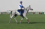 0902PCup_560