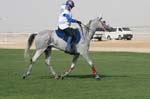 0902PCup_561