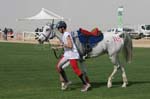 0902PCup_563