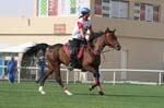 0902PCup_564