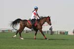0902PCup_565