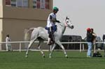 0902PCup_566