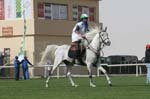 0902PCup_568