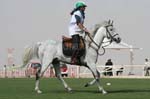 0902PCup_569