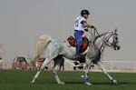 0902PCup_571
