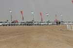 0902PCup_572