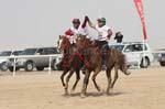 0902PCup_575