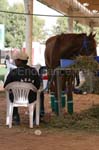 0902PCup_577