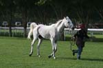0902PCup_580
