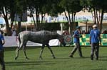 0902PCup_581