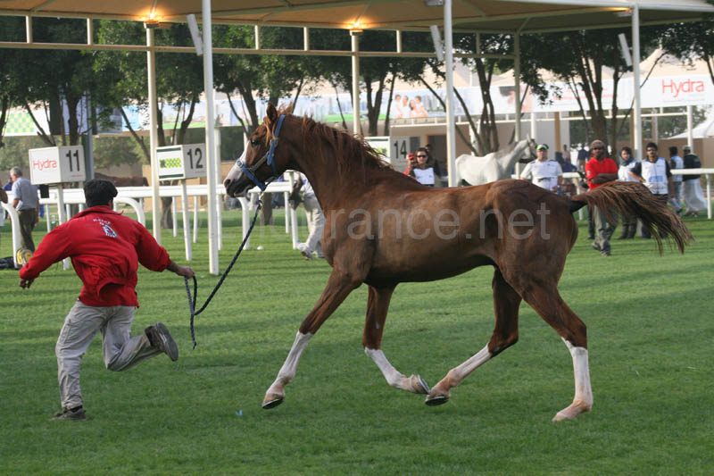 0902PCup_587
