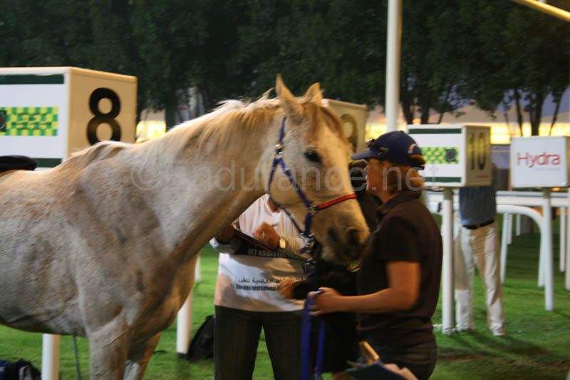 0902PCup_623
