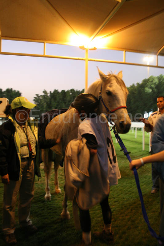0902PCup_625