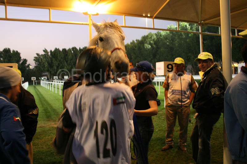 0902PCup_626