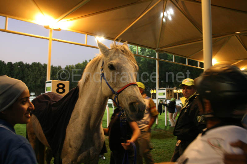 0902PCup_627