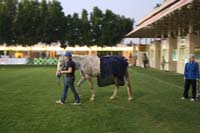 0902PCup_618