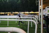 0902PCup_619