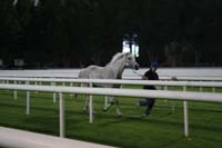 0902PCup_620