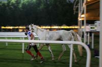 0902PCup_621
