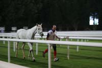 0902PCup_622