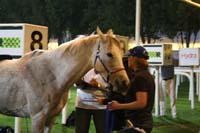 0902PCup_623