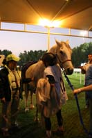 0902PCup_625