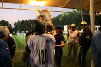0902PCup_626