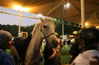 0902PCup_627