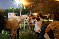 0902PCup_628